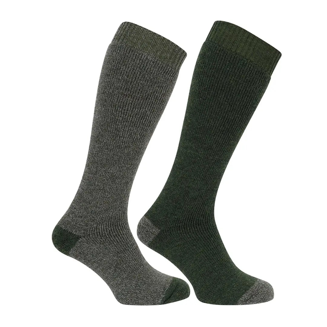 Ski socks for ski grin-Hoggs Of Fife Country Long Socks (Twin Pack)